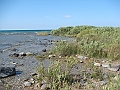 Western Michigan [2010] 824
